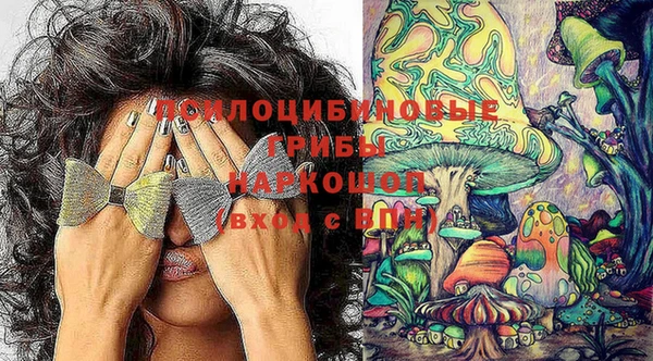 apvp Касимов