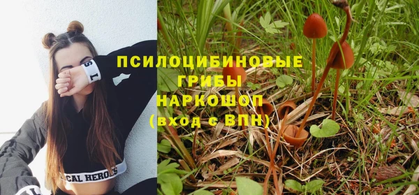 ALPHA PVP Карпинск