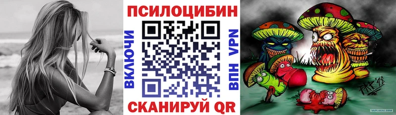 Купить закладки  Дальнереченск  Псилоцибиновые грибы Psilocybe 